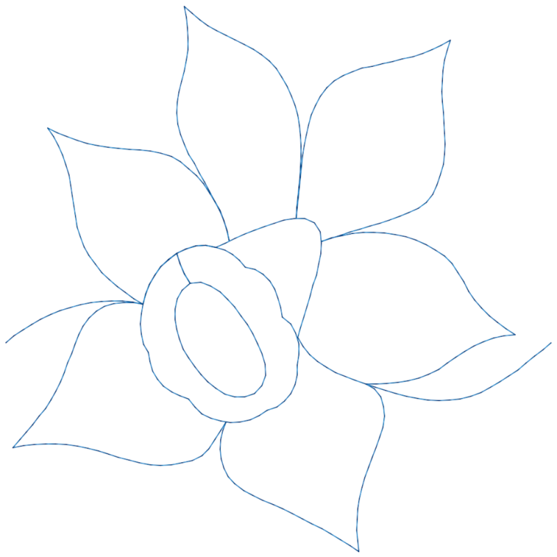 Daffodils