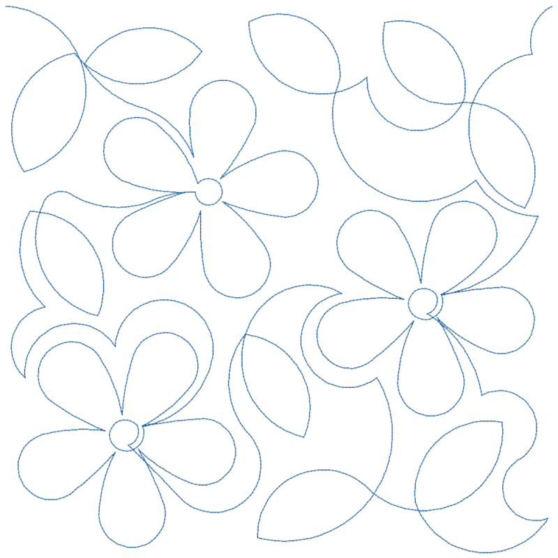 Daisies