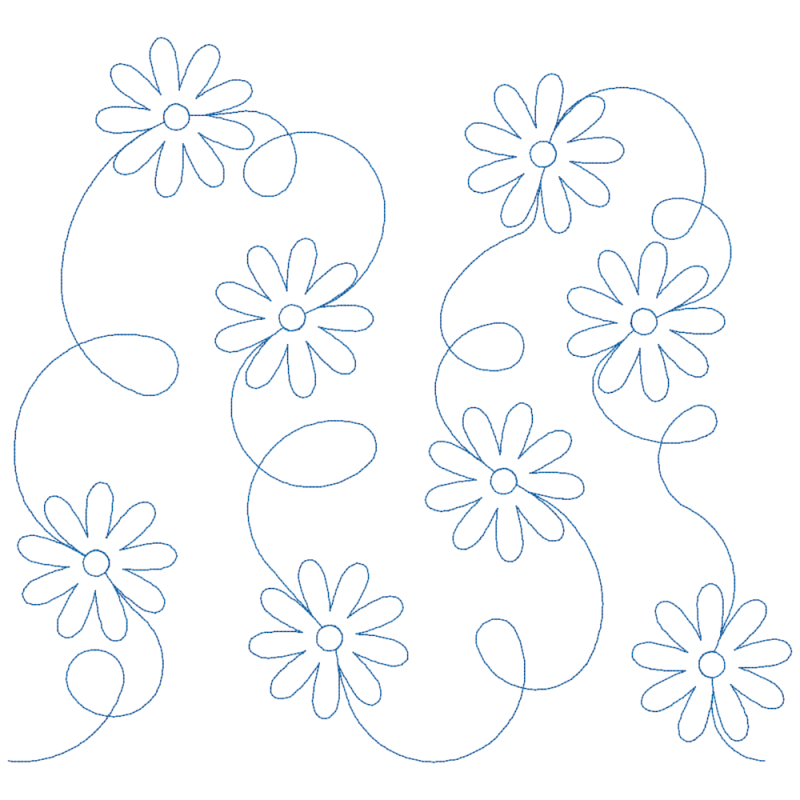 Daisy Meander