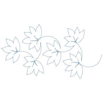 Fall Foliage