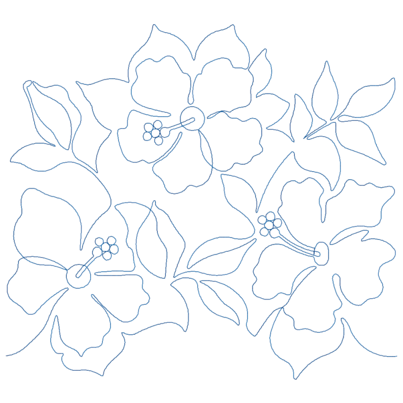 Hibiscus Flowers