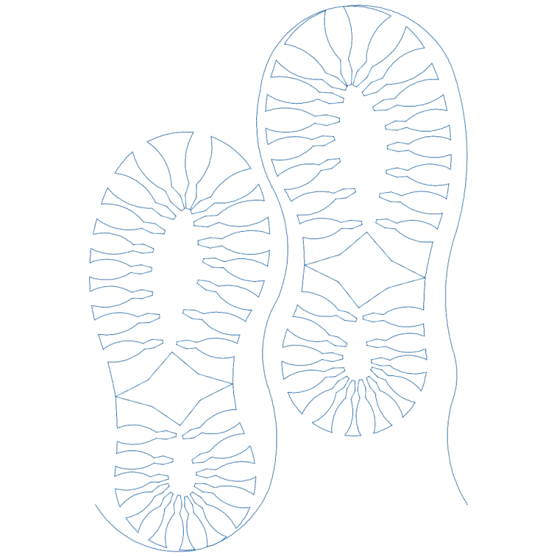 Hiking Boot Print