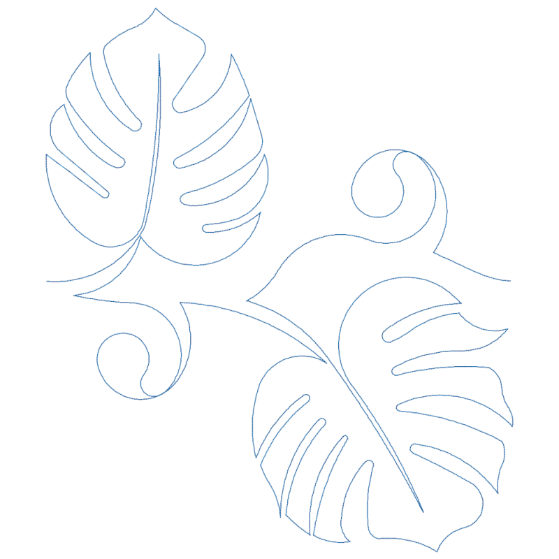 Monstera Leaf
