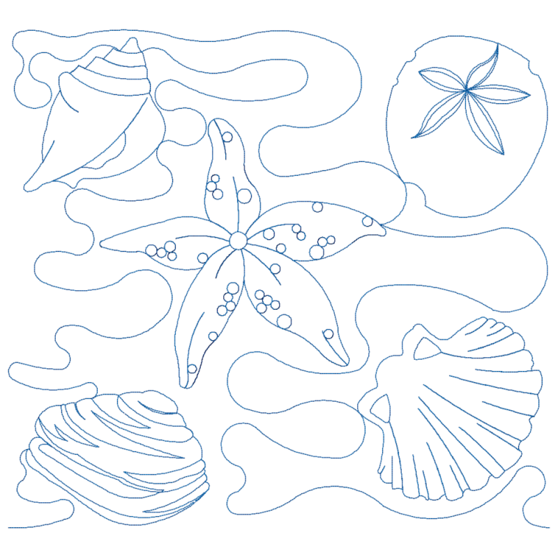 Sea Shell