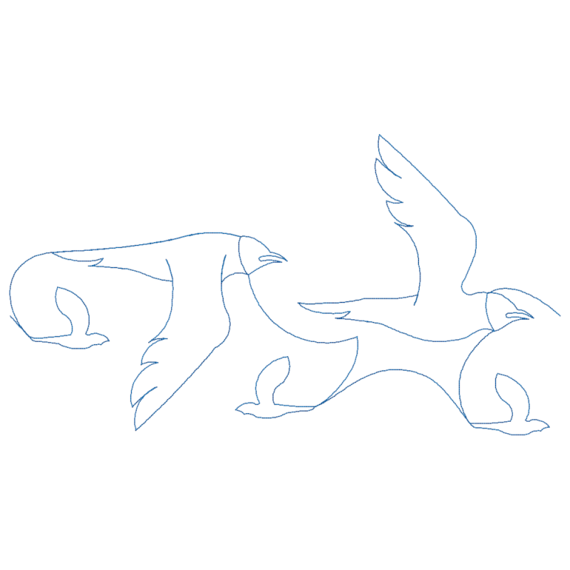 Seagull Summer